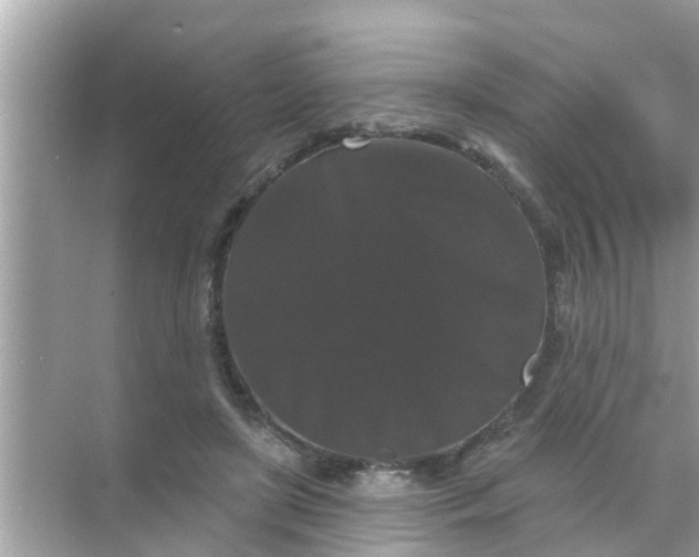 X0000070860451200606302050