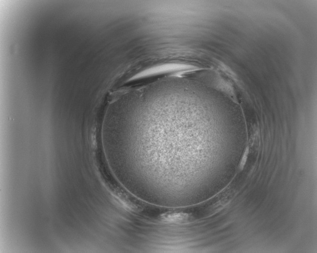 X0000070860452200606302050