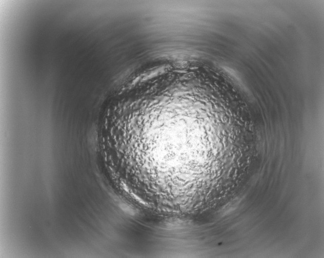 X0000070860453200606302050