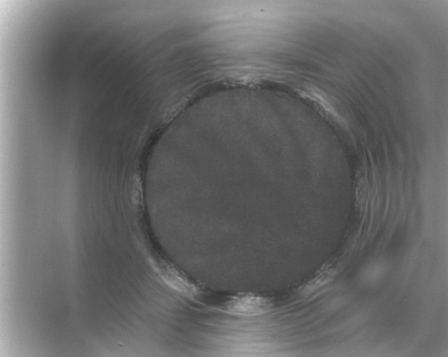 X0000070860459200606302050