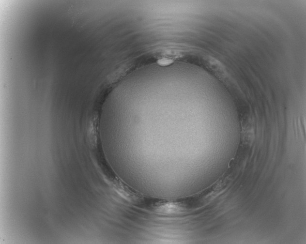 X0000070860460200606302050