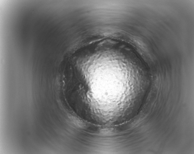 X0000070860461200606302050