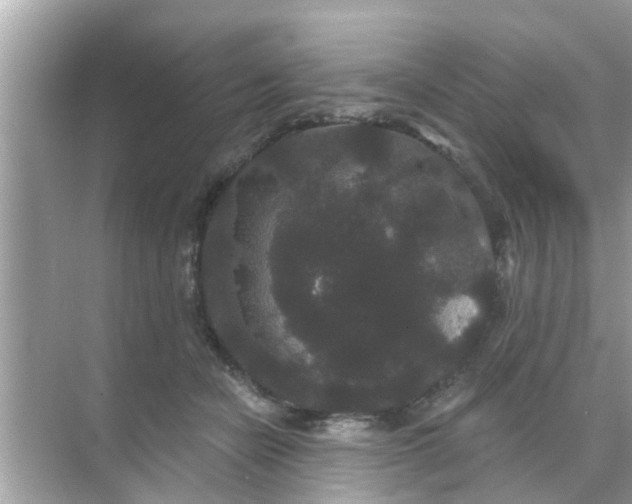 X0000070860462200606302050