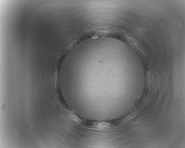 X0000070860463200606302050