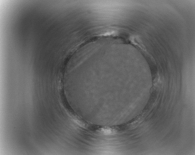 X0000070860464200606302050