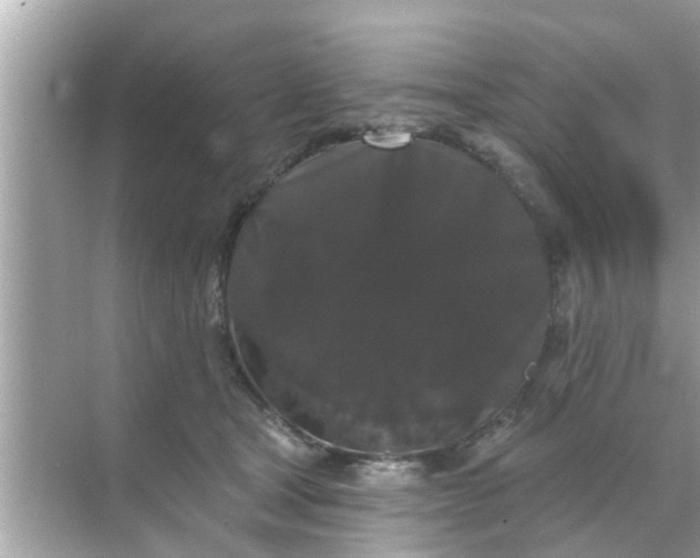 X0000070860465200606302050