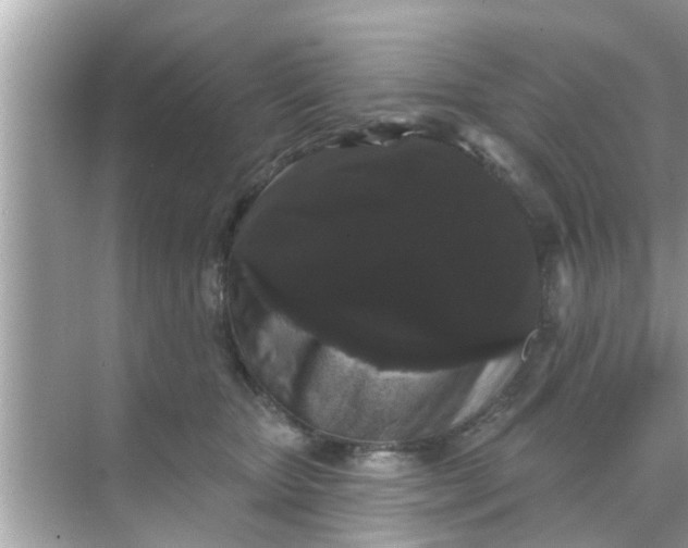 X0000070860467200606302050