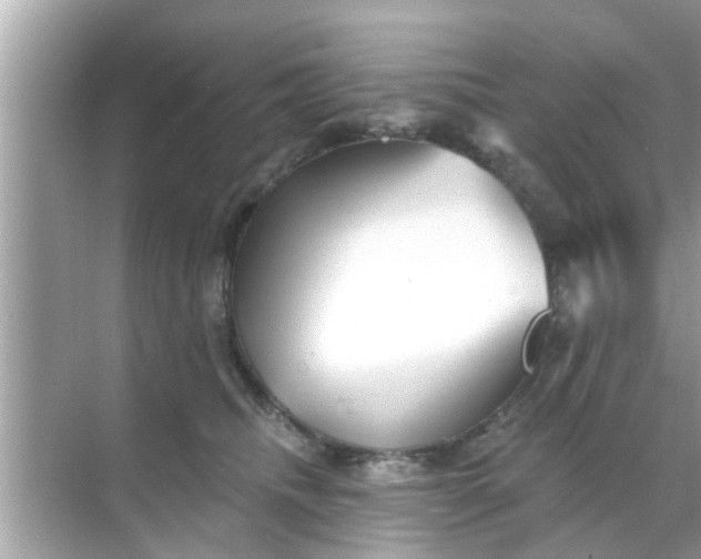 X0000070860468200606302050