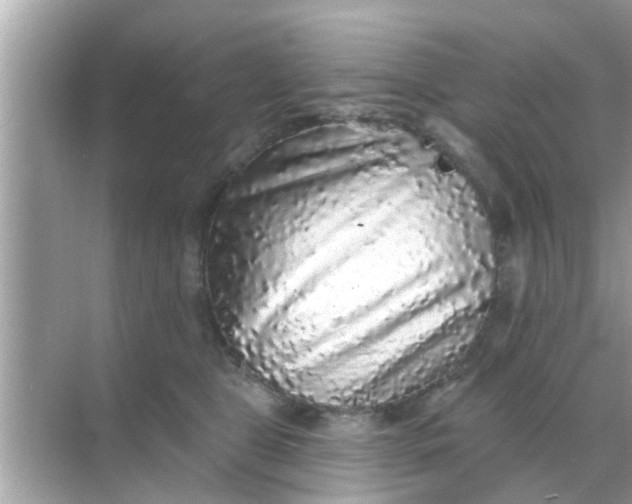 X0000070860469200606302050