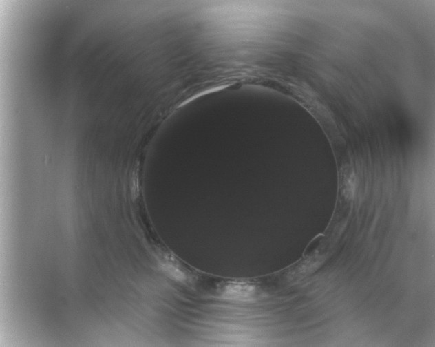 X0000070860471200606302050