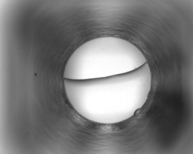 X0000070860473200606302050