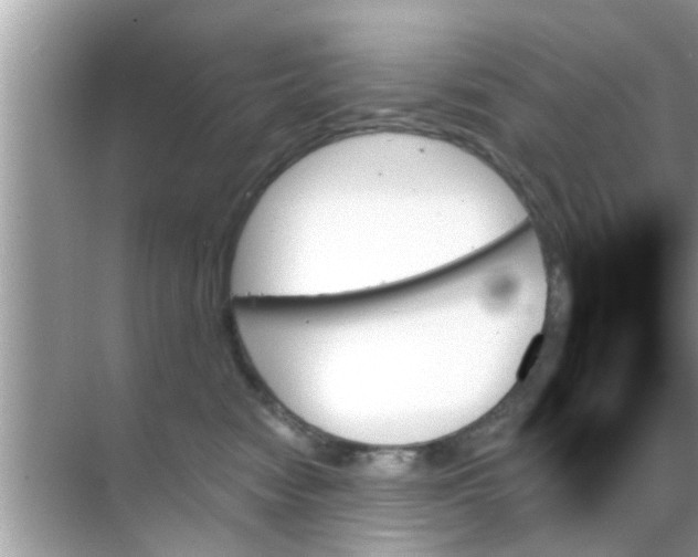 X0000070860474200606302050