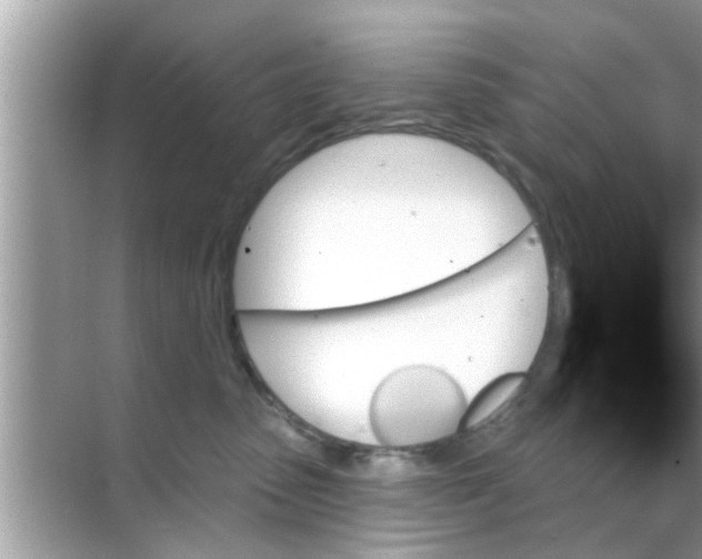 X0000070860475200606302050