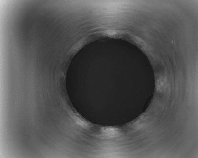 X0000070860476200606302050