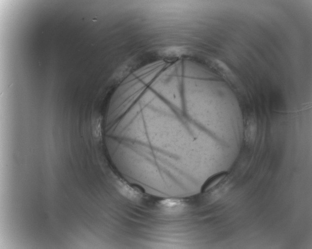 X0000070860477200606302050