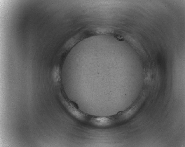 X0000070860478200606302050