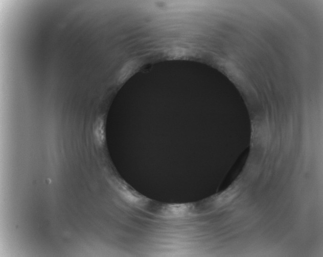 X0000070860479200606302050