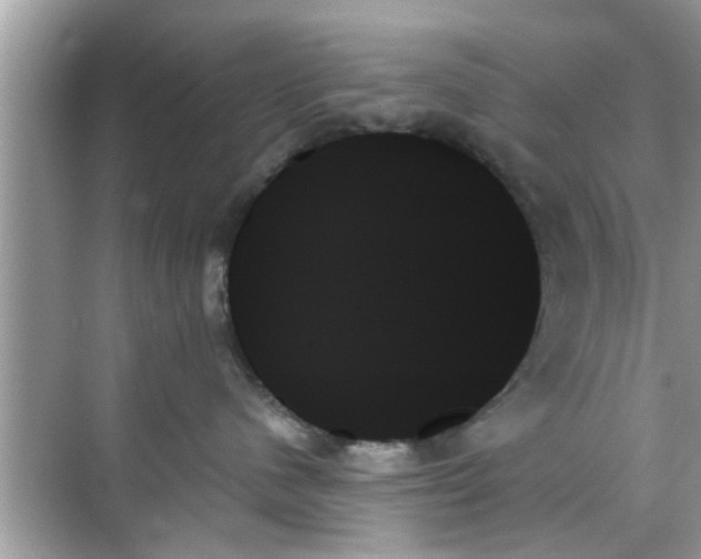 X0000070860480200606302050