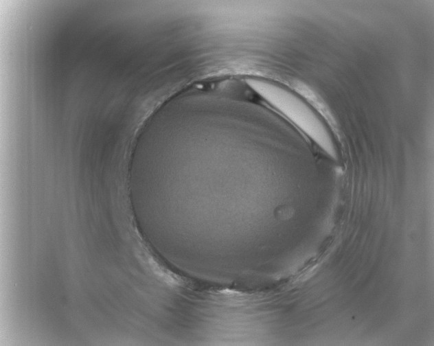 X0000070860481200606302050