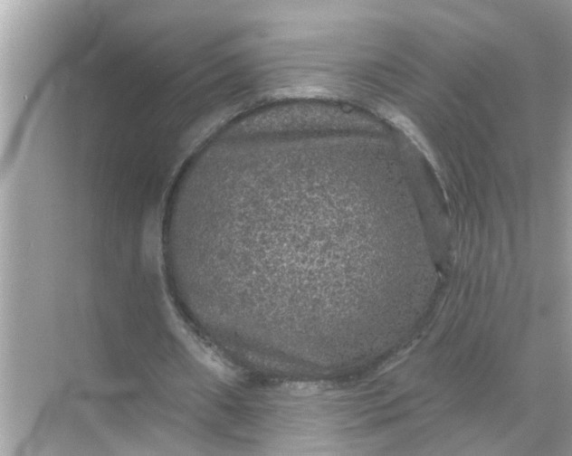 X0000070860482200606302050