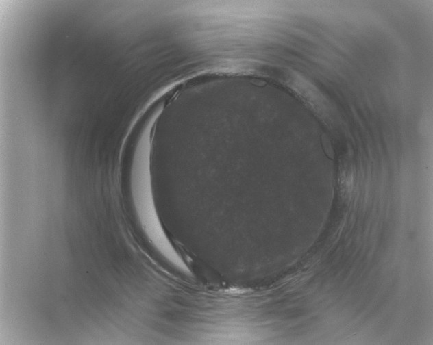 X0000070860484200606302050