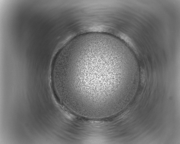 X0000070860486200606302050