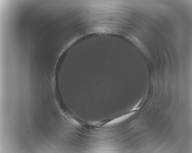 X0000070860488200606302049