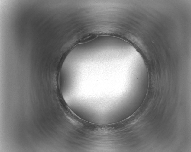 X0000070860489200606302049