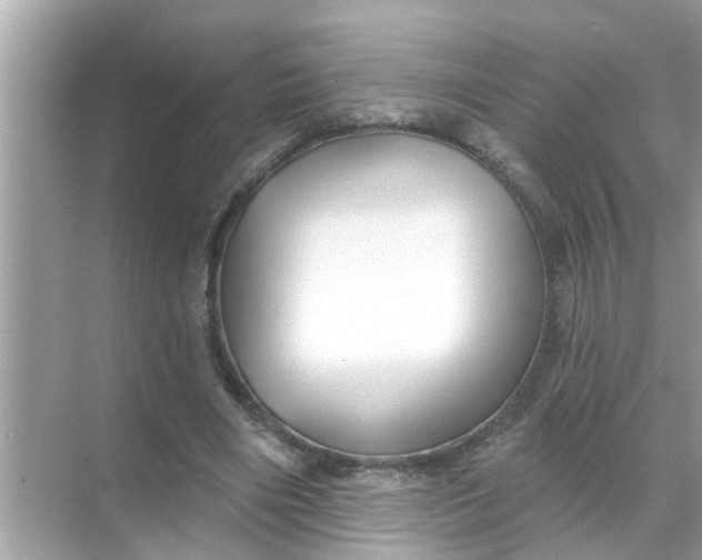 X0000070860490200606302049