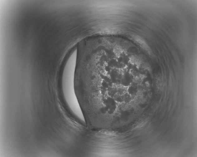 X0000070860491200606302049