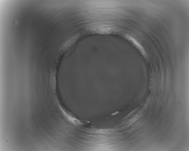 X0000070860493200606302049