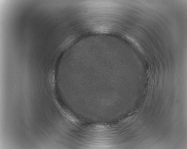 X0000070860494200606302049