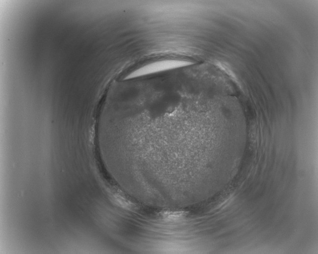 X0000070860495200606302049