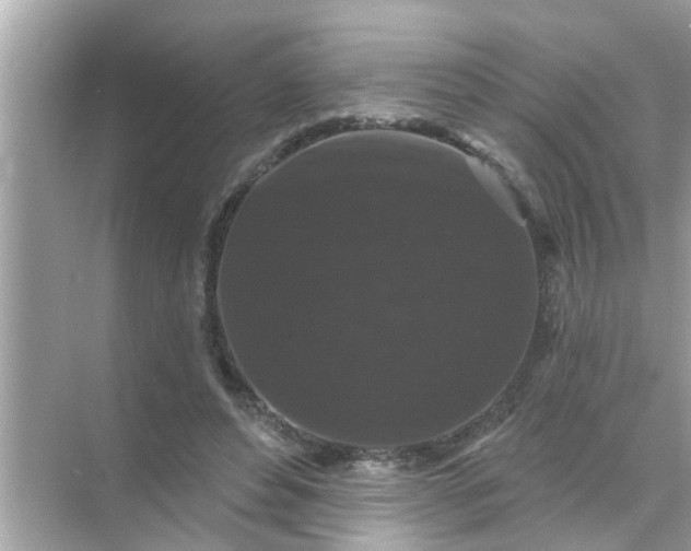 X0000070860496200606302049