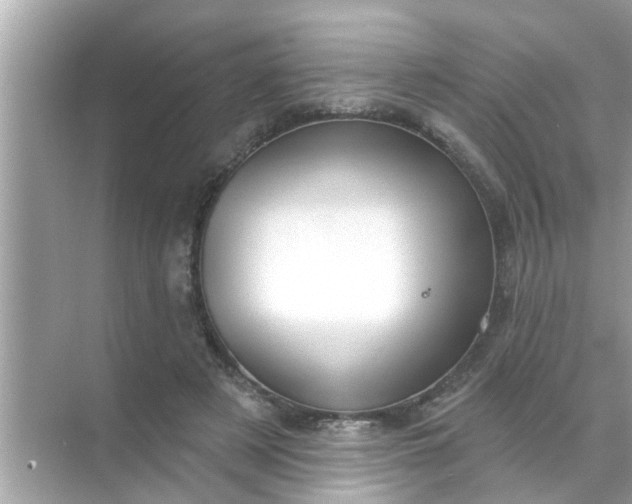 X0000070860497200606302049