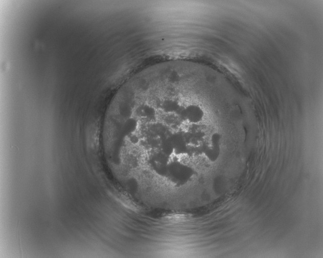 X0000070860499200606302049