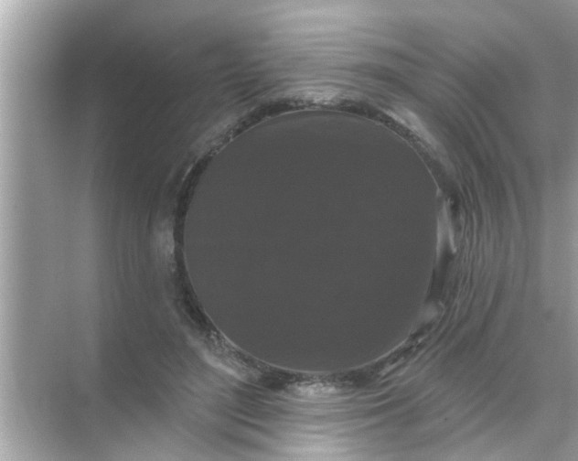 X0000070860500200606302049