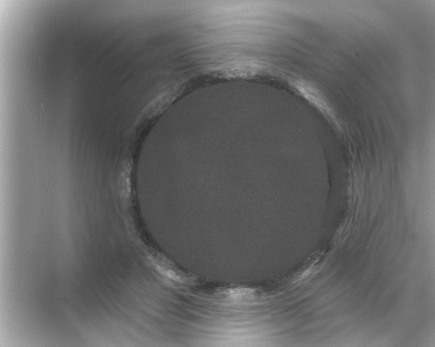 X0000070860501200606302049