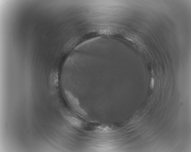 X0000070860502200606302049