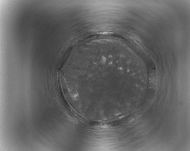 X0000070860503200606302049