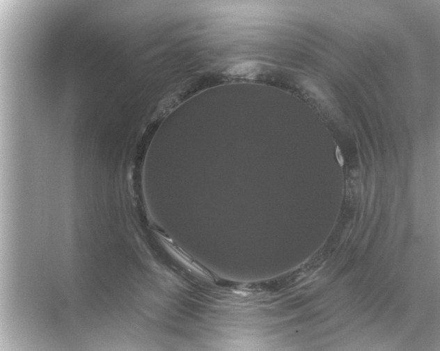 X0000070860504200606302049