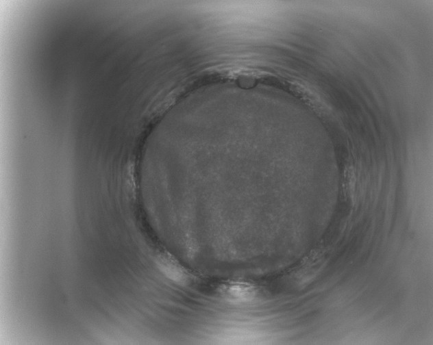 X0000070860506200606302049