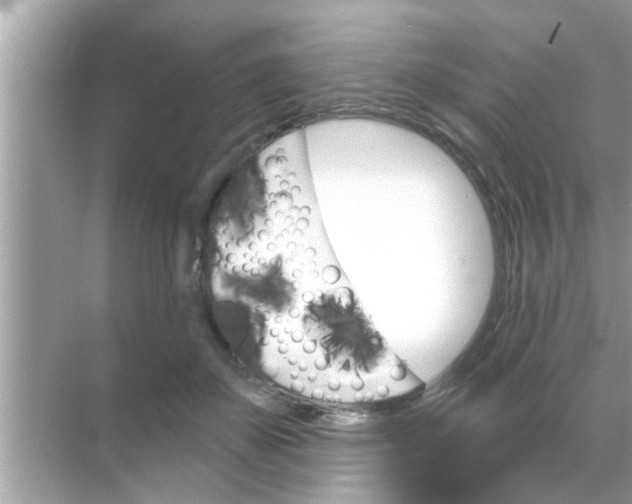 X0000070860507200606302049