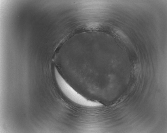 X0000070860508200606302049