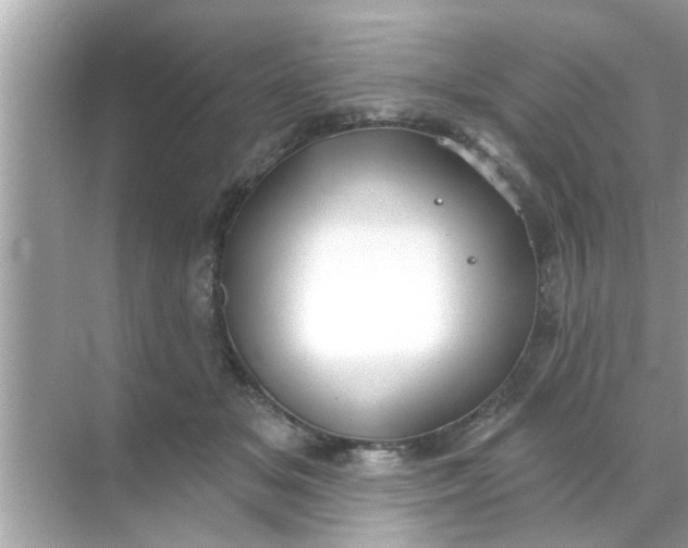 X0000070860509200606302049