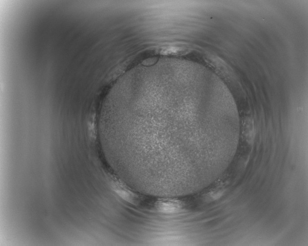 X0000070860510200606302049