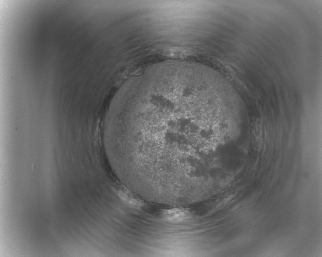 X0000070860511200606302049