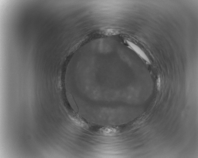 X0000070860512200606302049