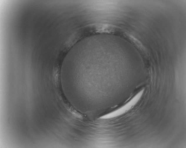 X0000070860513200606302049