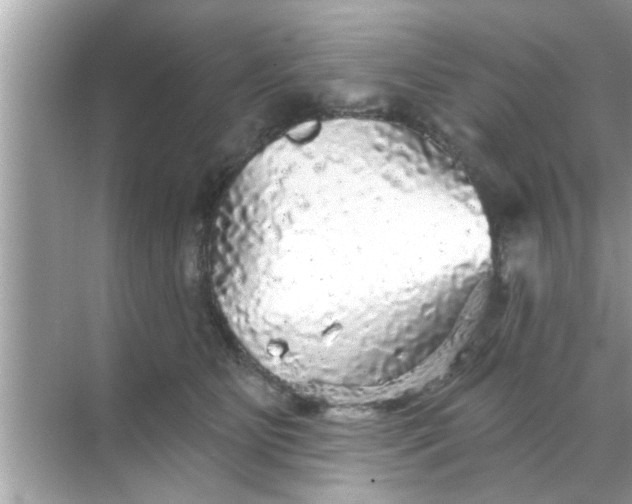 X0000070860515200606302049